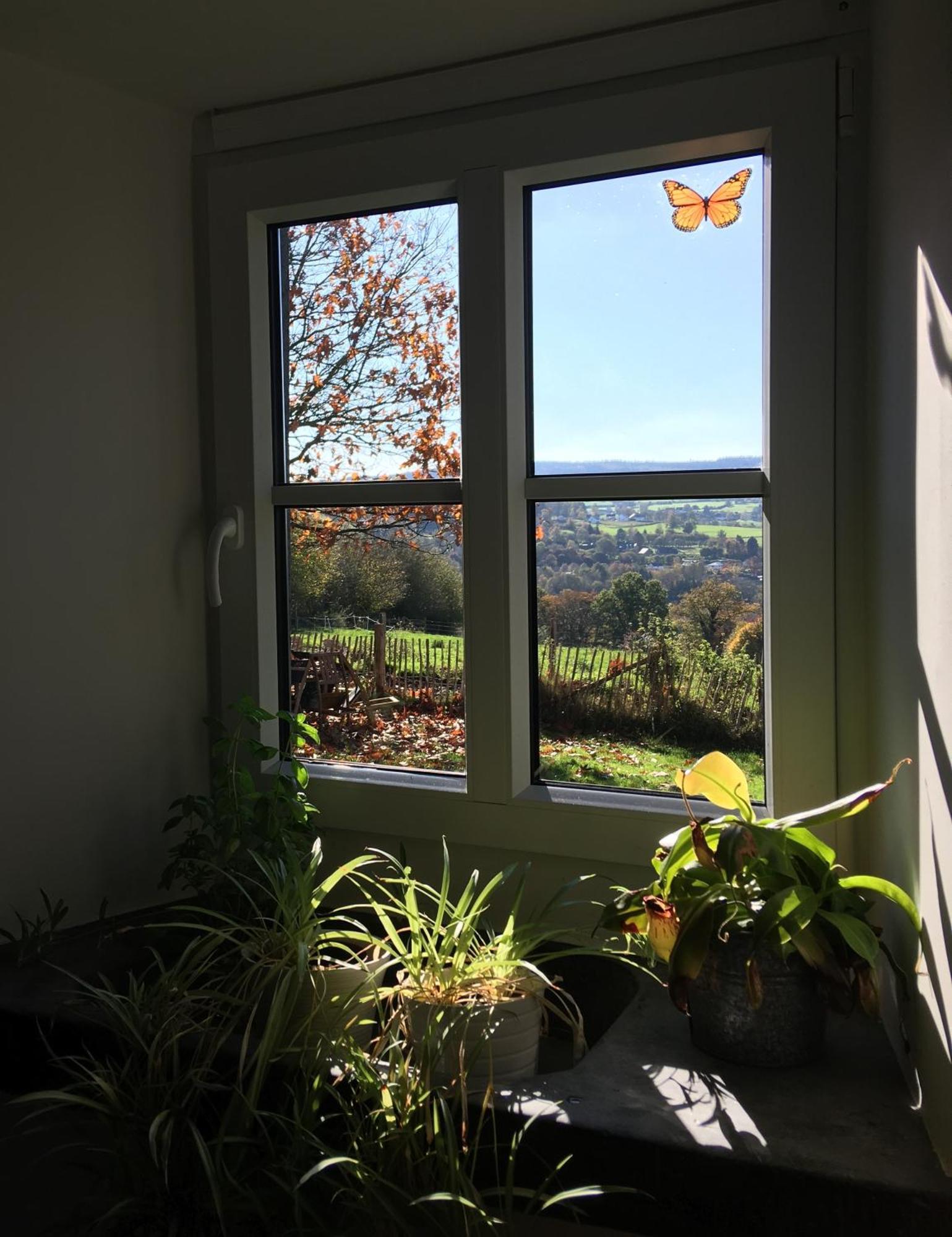 La Maison De Julienne - Ligneuville Malmedy Esterno foto